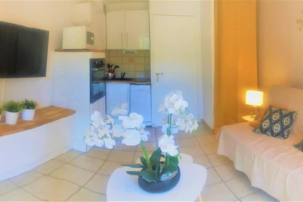 Studio Cabine Climatise 800 M De La Plage Et Des Commerces Bormes-les-Mimosas Ngoại thất bức ảnh